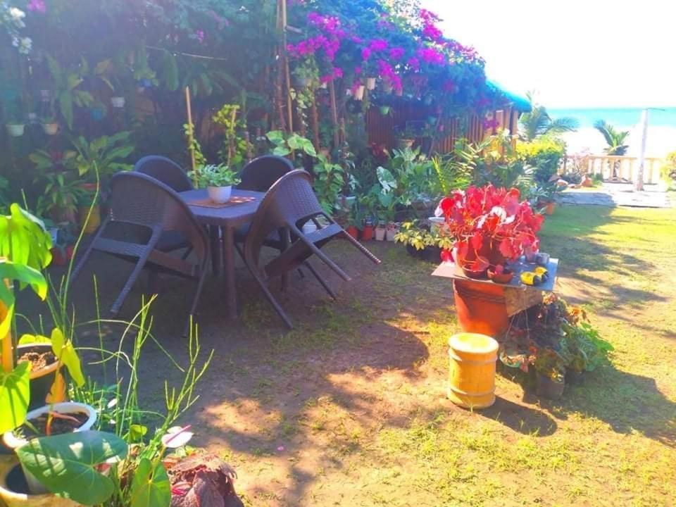 Sea Breeze Beachfront Home And Cottages サンフアン エクステリア 写真