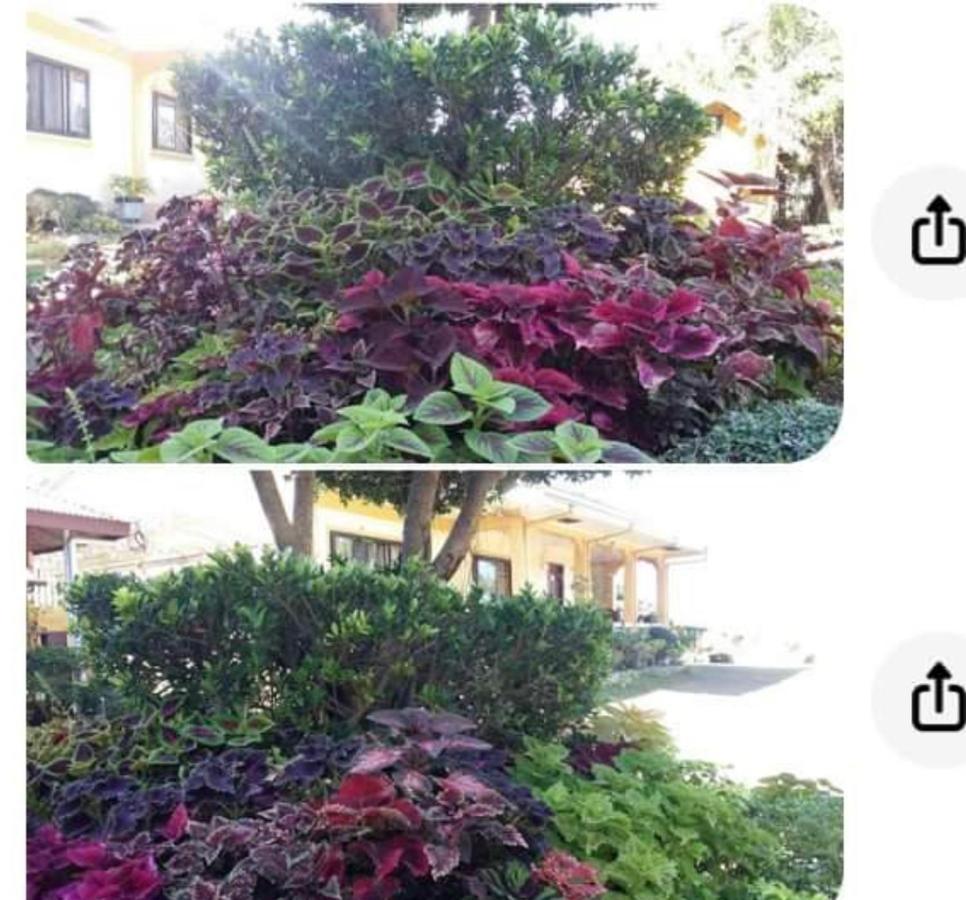 Seabreeze Beachfront Home And Cottages New Management サンフアン エクステリア 写真